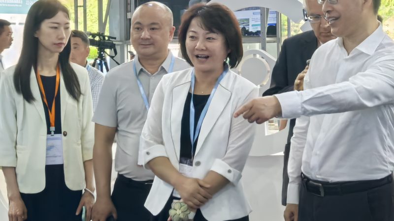 汽车保养灯归零后仍亮？揭秘背后的原因与解决之道**